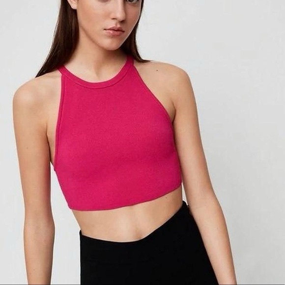 Aritzia Tops - Aritzia Babaton Kevin Knit Crop Halter Top
